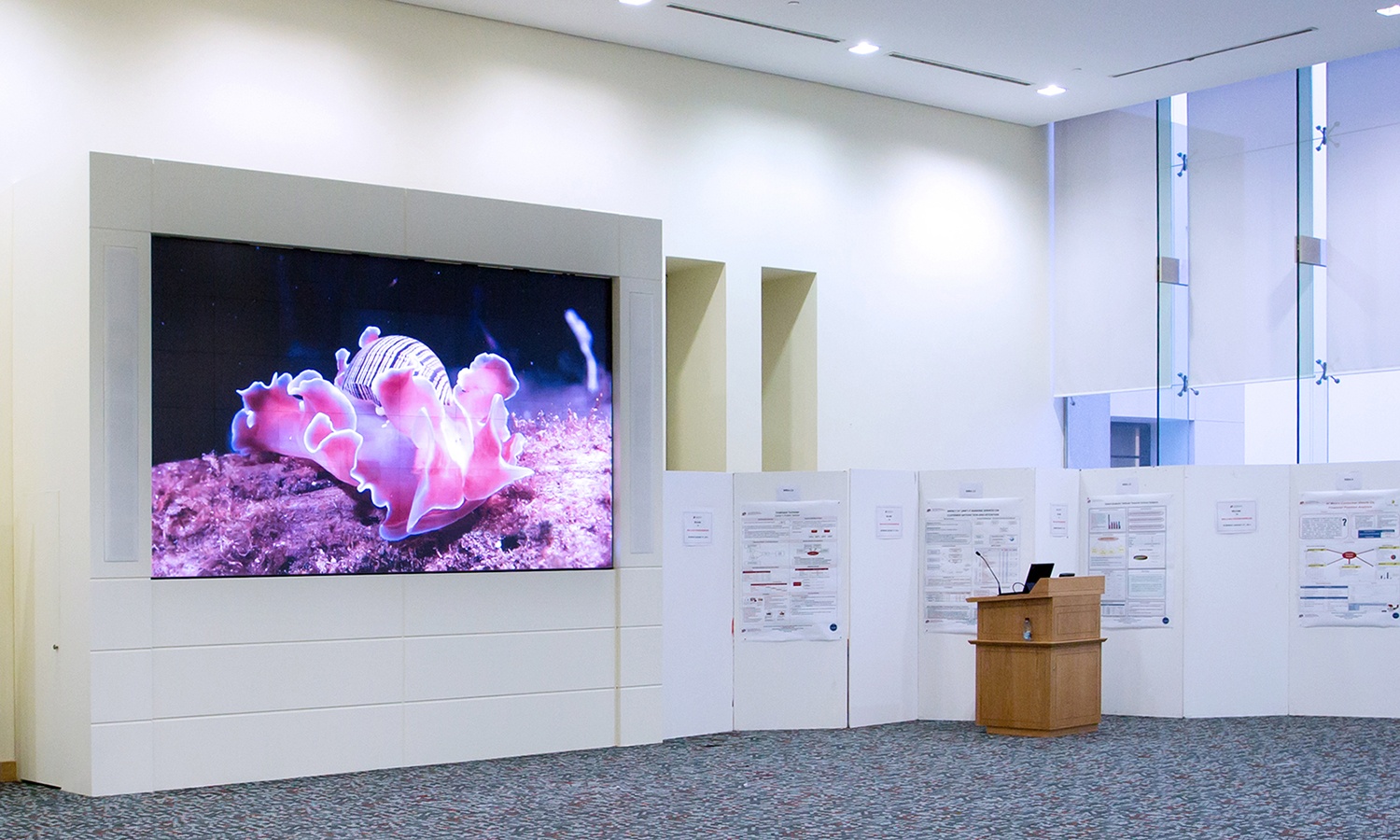 prysm-video-wall-at-qatar-university.jpg prysm-video-wall-at-qatar-university.jpg